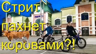 GoPro/BMX/ЖИВОТНЫЕ НА ВОКЗАЛЕ?!/БМХ ТРЮКИ/СЕЛЬСКИЙ БМХ