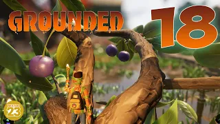 Grounded #18 Der Vogel-Beeren-Busch 🕷️ | Let's Play Gameplay Deutsch 🐛