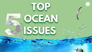 Top 5 OCEAN ISSUES & THREATS(Let's save the Planet)