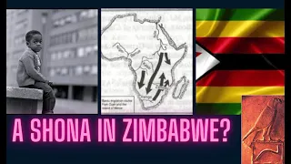 A Shona In Zimbabwe?