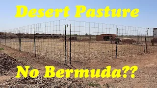 Establishing Summer Pasture in the Desert | Livestock Pasture in AZ