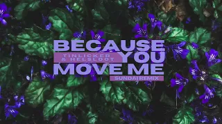 Tinlicker & Helsloot - Because You Move Me (SUNDAI REMIX)