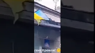 Angry Russian squirrel in Kyiv, Ukraine - Invasion of Ukraine footage