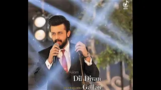 Dil Diyan Gallan  || Atif Aslam || || Salman Khan || || Katrina Kaif || ||Tiger Zinda Hai ||