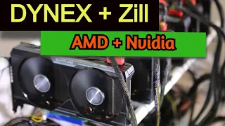 Майнинг DNX+ZIL на AMD+NVidia (настройка в Hive OS) srb miner