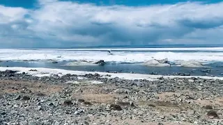 Сегодня прошел второй съёмочный день клипа на Гимн Бурятии - Сергей Зверев