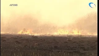 МЧС вводит в Новгородской области чрезвычайный класс пожароопасности