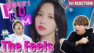 TWICEの新曲『The Feels』で世界が踊る1st Reaction!!!!