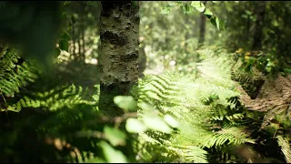 (4K) Unreal Engine 5 Forests Look Amazing!
