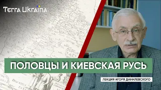 "TU"  Игорь Данилевский. Половцы и южные княжества Киевской Руси: история и стереотипы