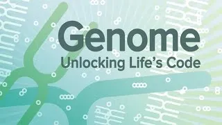 Genome: Unlocking Life’s Code