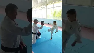 Karate  shpagat