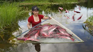 Harvesting A Lot Of Fish Goes To Market Sell - Take Care of The Garden | Tiểu Vân Daily Life
