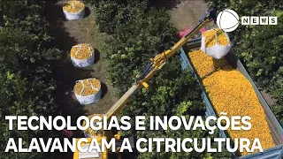 Tecnologias e inovações alavancam citricultura