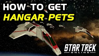 How To Get Hangar Pets in Star Trek Online