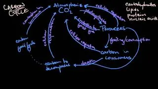 5.2 The Greenhouse Effect