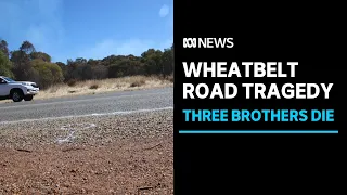 Three brothers die along with a family friend in Wheatbelt road tragedy | ABC News
