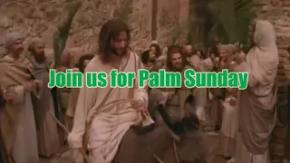 Palm Sunday Scripture from "The Gospel of John" movie