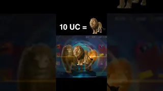 Lion Companion in 10 UC 😱
