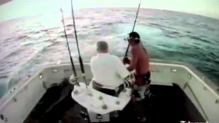 Fisherman falls overboard from Marlin attack!