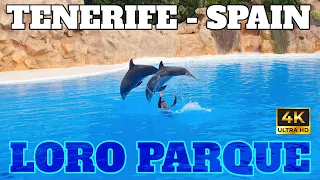 LORO PARQUE - COMPLETE ZOO GUIDE - TENERIFE - SPAIN - 2023 - 4K