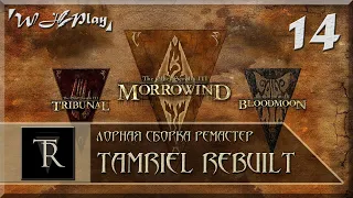 Morrowind [Tamriel Rebuilt + ЛСР] - Айда на Континент - Гильдии Старого Эбенгарда и Руины Даэдра #14
