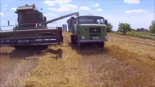 Fortschritt E516-B & IFA W50LA /Wheat /búza aratás/harvesting/ Weizenernte/ 2018