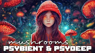Mushrooms Psybient & Psydeep Playlist