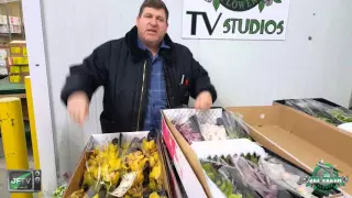 JFTV Dutch Cymbidiums Deal with Mike