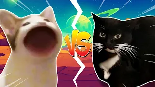 Pop Cat VS Maxwell the Cat