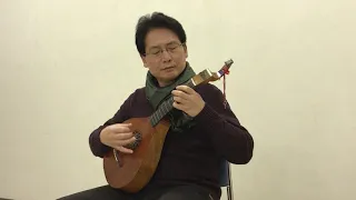 Haydn's Surprise😲 on English guittar/ハイドンのびっくりシンフォニー（イングリッシュギター） played by Taro Takeuchi (竹内太郎）