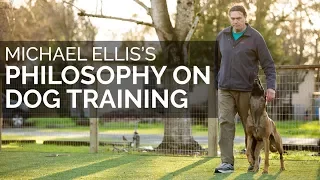 Michael Ellis' Philosophy of Dog Training