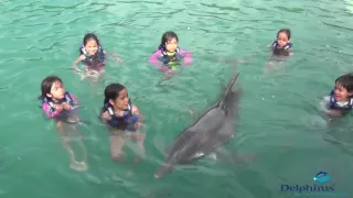 Nadando con delfines en Cancún