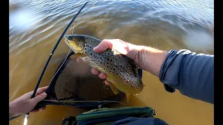 Fly Fishing to Mayfly Feeders, LAKE KAY, Nineteen Lagoons, Tasmania