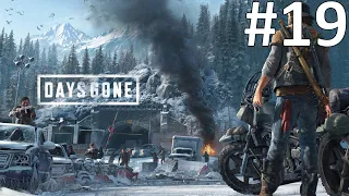 СПАСЕНИЕ ЛИЗЫ ► Days Gone #19