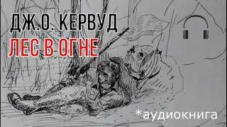 Лес в огне [глава 1-2] - Джеймс Оливер Кервуд аудиокнига приключения природа Севера Америки бушкрафт