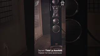 Tidal La Assoluta - первое включение. Как звучит самый дорогой в мире звук!