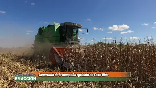 Primeros datos de la cosecha en Entre Ríos - Pablo Fontanini