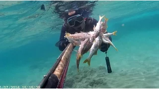 Pesca submarina Salmonetes y tiros a tutiplén