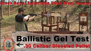 Break Barrel Pellet Rifle DOES Rival Firearm - Ballistic Gel Test