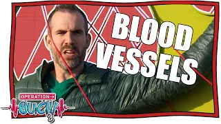 Why Do We Need Blood Vessels? | Operation Ouch | Nugget