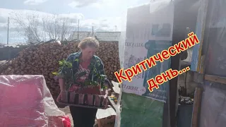 Критический день...