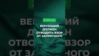 Верующий должен отводить взор от запретного | Абу Яхья аль-Къирми | Коротко о важном