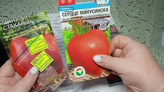 Архив семян томатов. Минусинские сорта