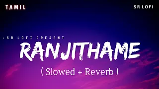 Ranjithame - Lofi (Slowed + Reverb) | Varisu | Tamil | Thalapathy Vijay, M M Manasi | SR Lofi