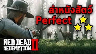 วิธีล่าหนังสัตว์ Perfect 3 ดาว - Red Dead Redemption 2