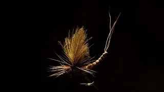 Vulgata Dun - Fly Tying Tutorial