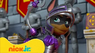 PAW Patrol Rescue Knights Battle a DRAGON! 🔥 | Nick Jr. UK