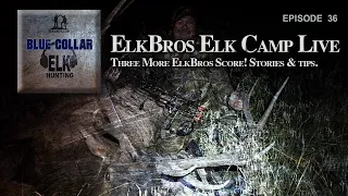 ElkBros Elk Camp Live - Three More ElkBros Score! Stories, techniques & tips.