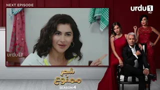 Shajar-e-Mamnu | Episode 333 Teaser | Turkish Drama | Forbidden Fruit | Urdu Dubbing | 18 March 2022